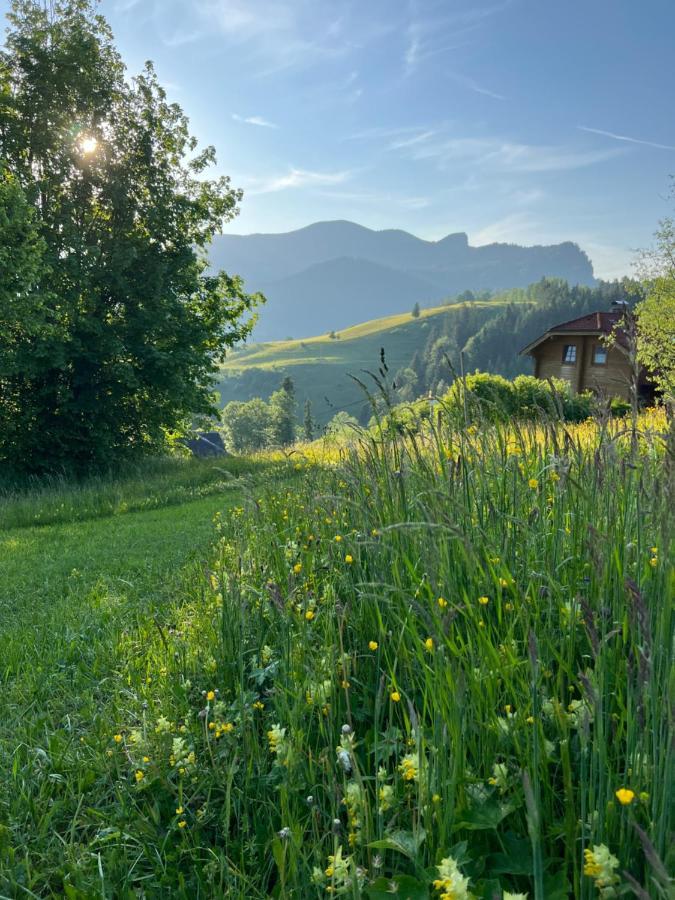 Tauglerei Appartement Enzian In Den Zauberbergen Sankt Koloman Exteriör bild